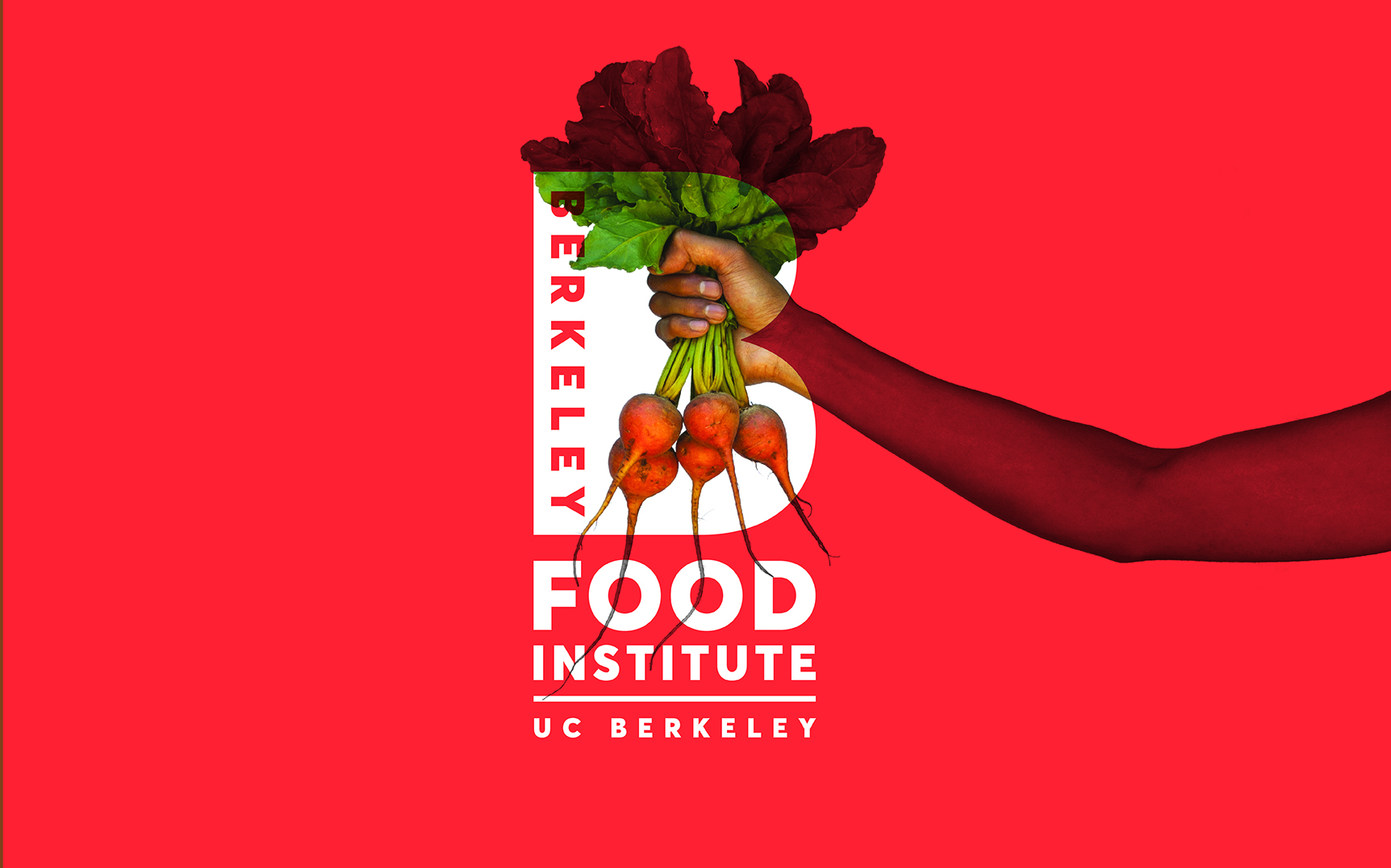 Celery + Berkeley Food Institute