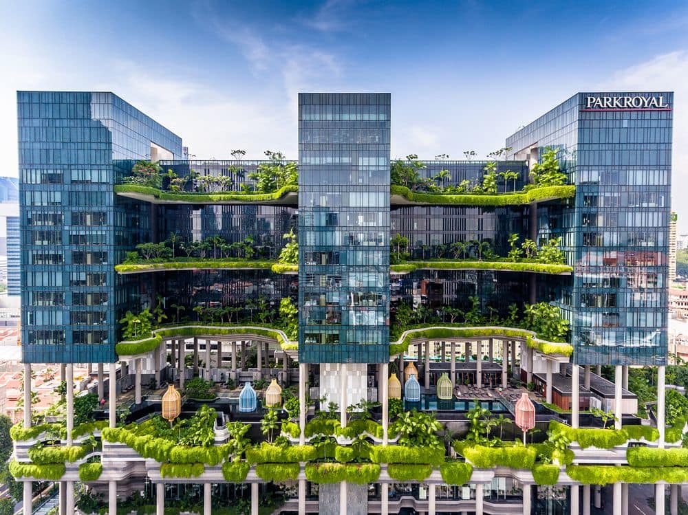 The definition of ‘lush’ greenery