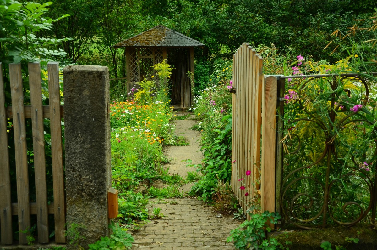 nature blossom fence wood lawn flower bloom summer green jungle lush backyard romance romantic botany colorful garden gate picket fence flowers wooden door shrub woodland yard entry gorgeous fenced cottage garden garden gate garden shed garden door gardeners outdoor structure home fencing slat door