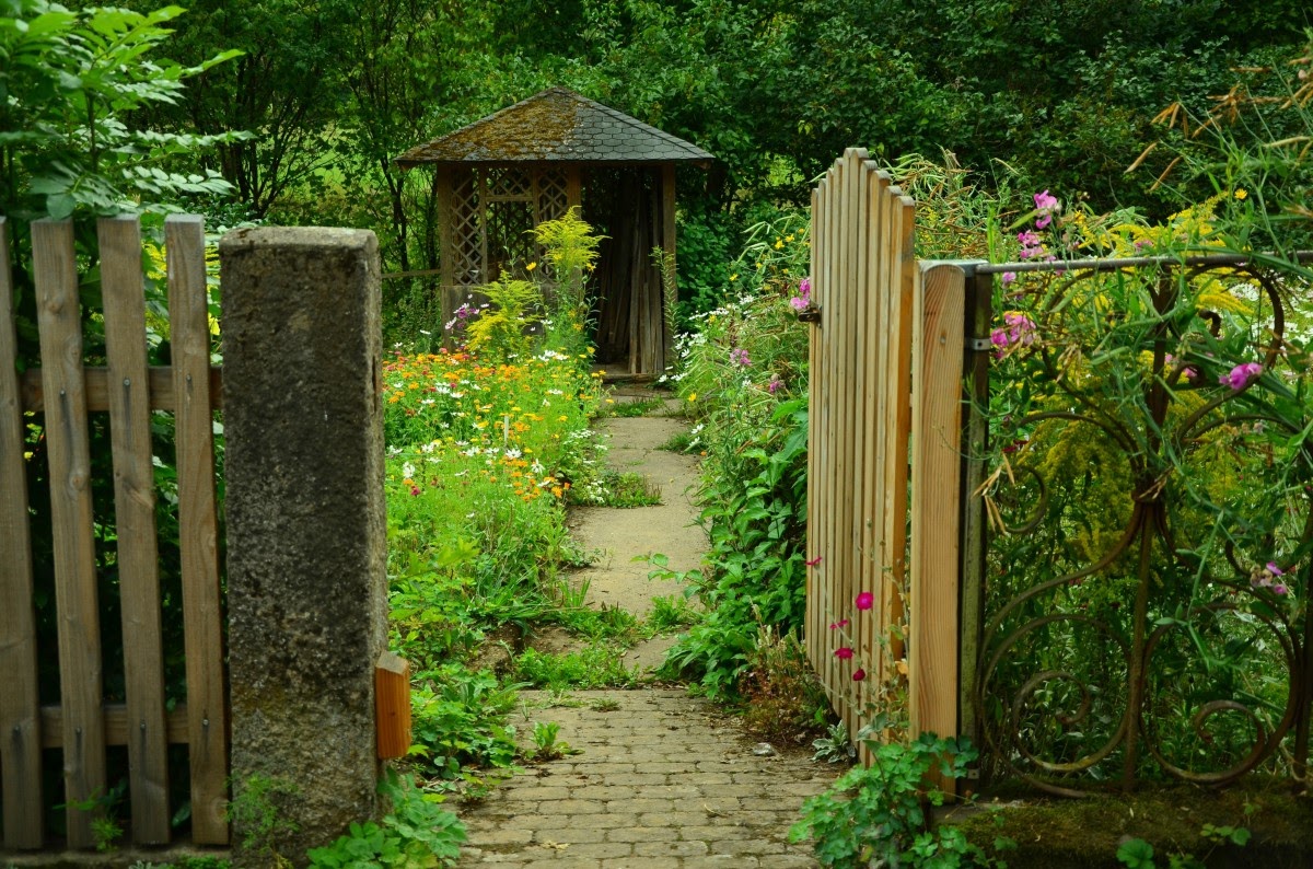 nature blossom fence wood lawn flower bloom summer green jungle lush backyard romance romantic botany colorful garden gate picket fence flowers wooden door shrub woodland yard entry gorgeous fenced cottage garden garden gate garden shed garden door gardeners outdoor structure home fencing slat door