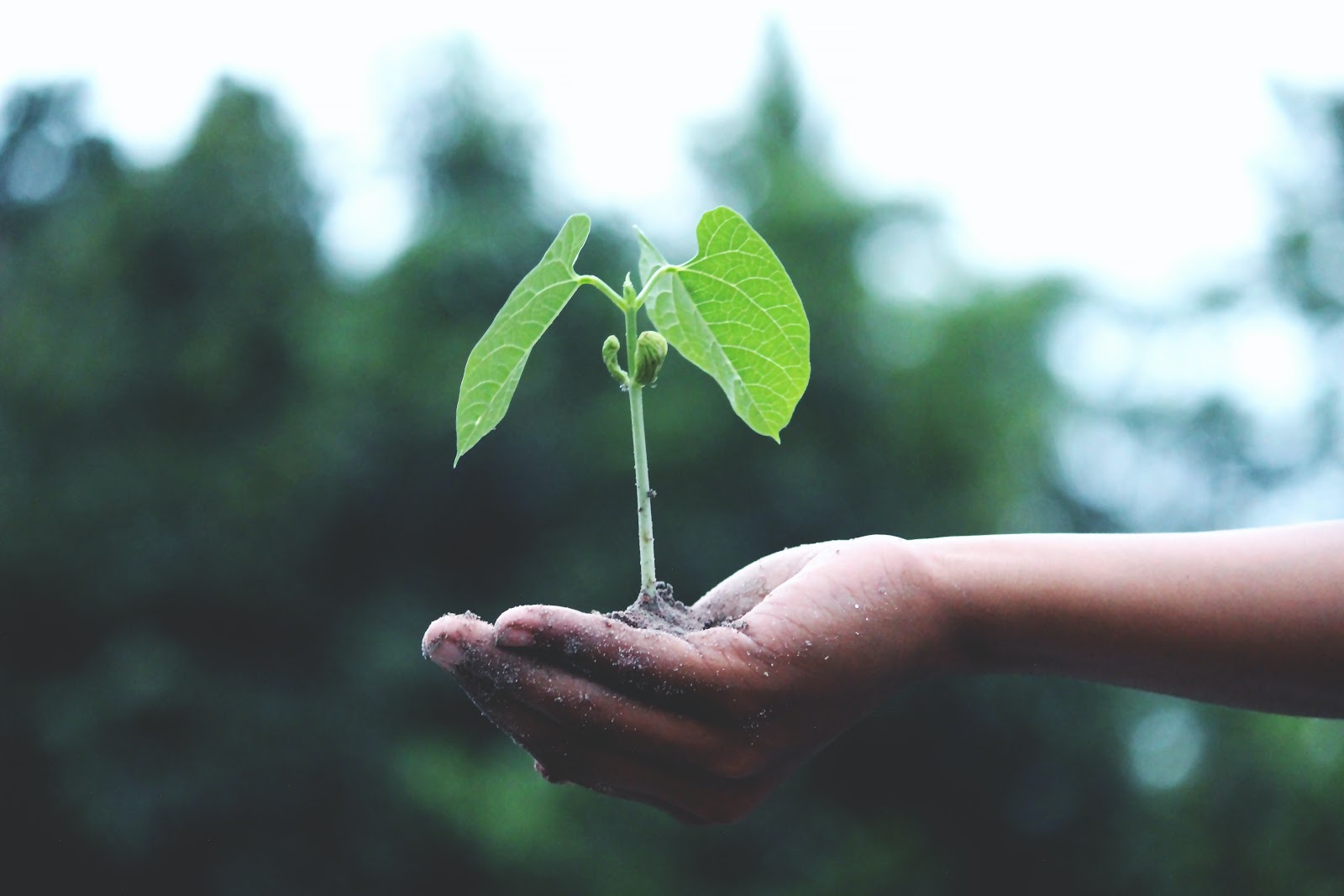 CSR for startups