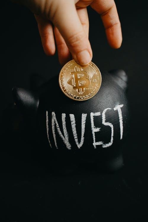 Venture Capitalist Investment