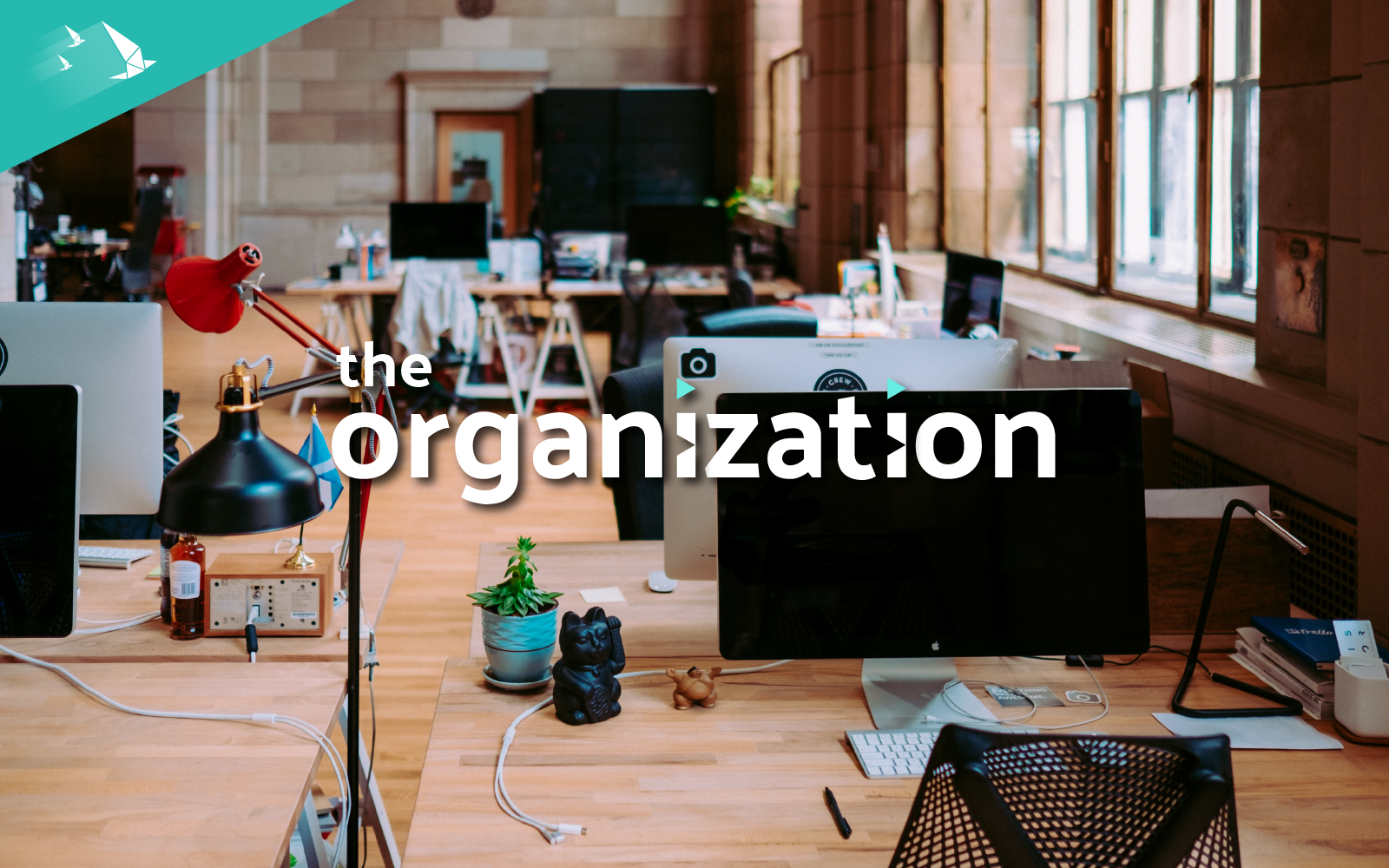 organization