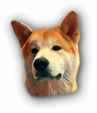 wagemut design Team Member Kyo