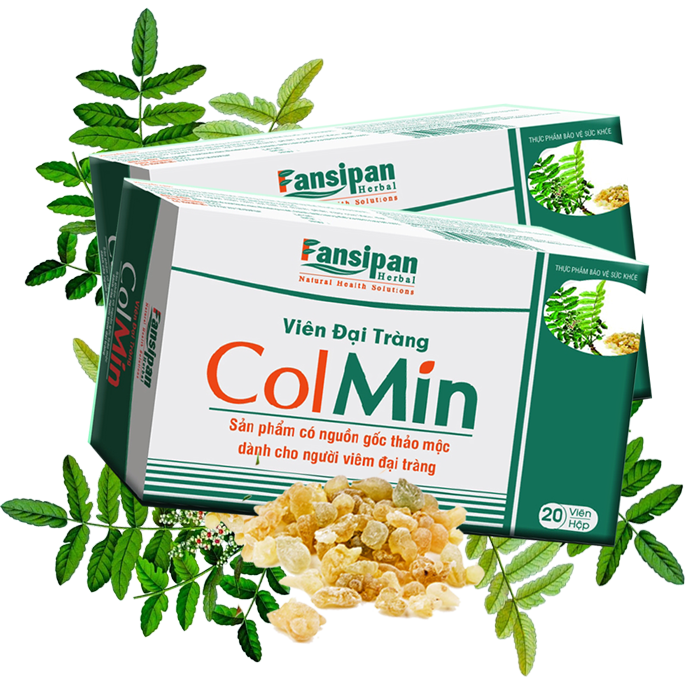 Viên Đại Tràng Colmin - Sản Phẩm Dành Cho Người Viêm Đại Tràng