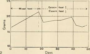 Food graph