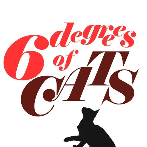 6 Degrees of Cats