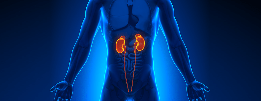 Urology Health Solutions Services