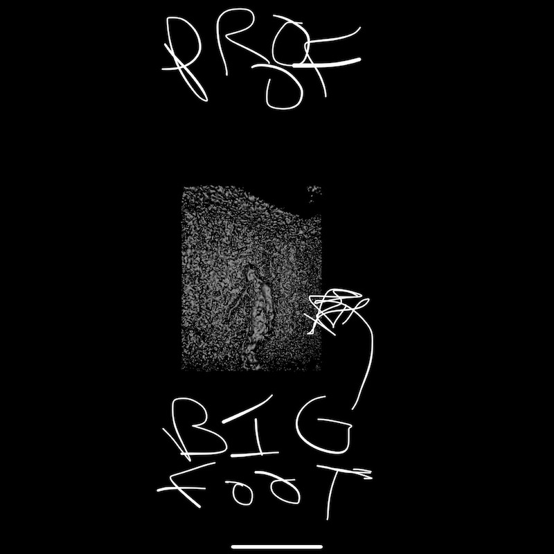 scandycore-big-foot-sighting