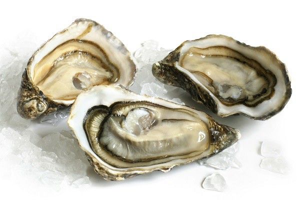 Hàu biển chống xuất tinh sớm hiệu quả