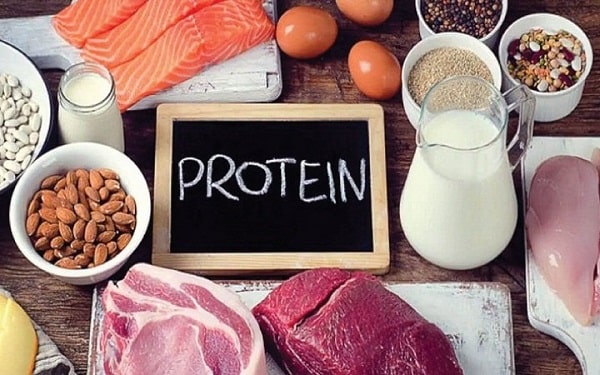 Tăng cường bổ sung protein cho cơ thể