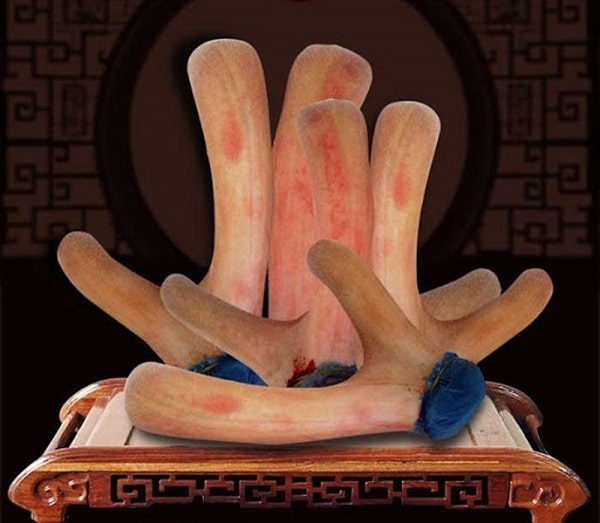 Thành phần Ngựa Thái có nhung hươu