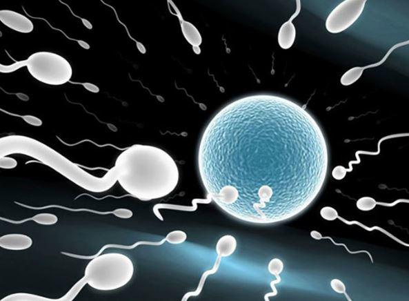 Xuất tinh ngoài sẽ cản trở tinh trùng gặp trứng?