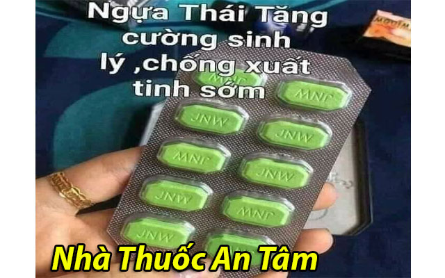 Công dụng Ngựa Thái Bình Định là gì?