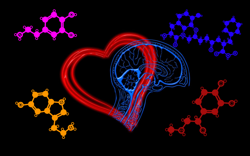 Valentine's Day got me thinking about how beautifully stunning our bodies are in spite of all the ups and downs they go through, the powerful impact that hormones have right down to every single cell throughout our body and the habits we form that will support (or hinder) us by stimulating these natural hormones.