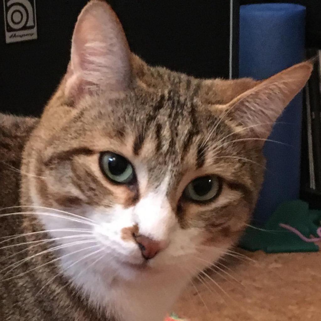 Oliver