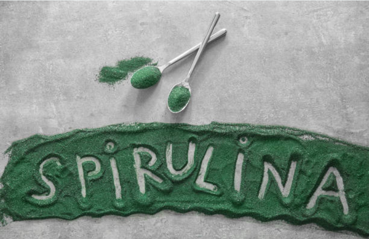 tảo Spirulina