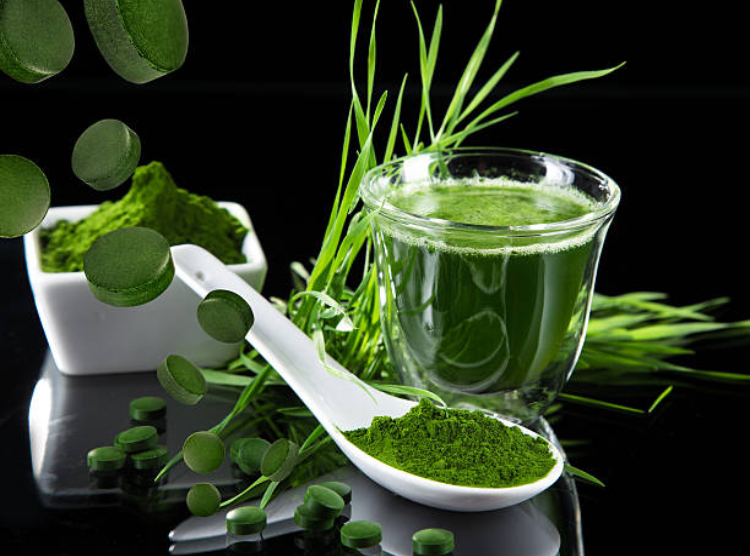 các dạng tảo spirulina