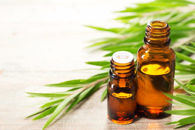 Cách trị sưng môi bằng tinh dầu tràm trà