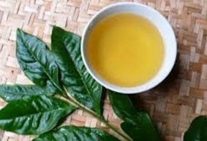 Trị ngứa vùng kín bằng lá chè xanh