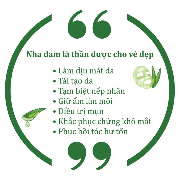 Cach làm sữa chua nha đam