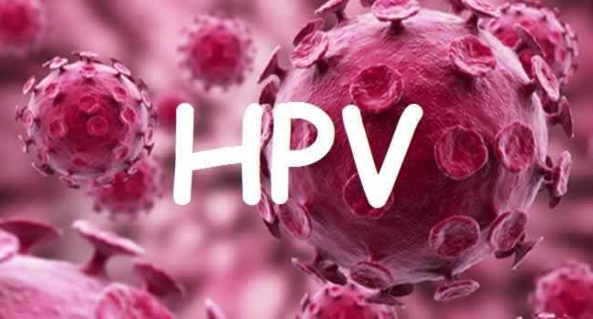 virus-HPV