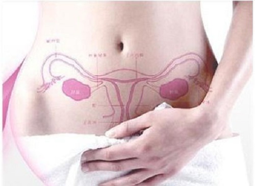 Các giai đoạn phát triển