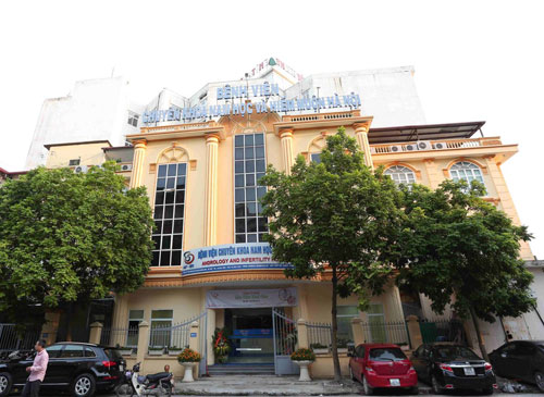 Bv nam học