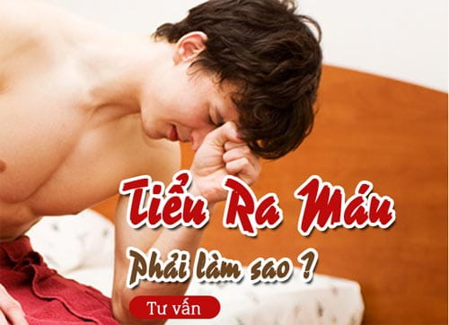 Cách chữa tiểu ra máu