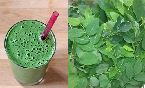 Cách phá thai bằng rau ngót