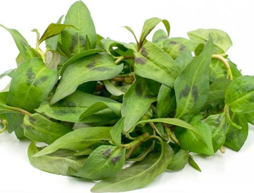 Phá thai bằng rau răm