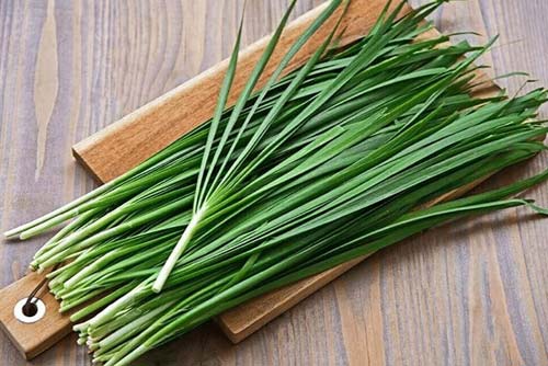 Cách chữa xuất tinh sớm bằng lá hẹ