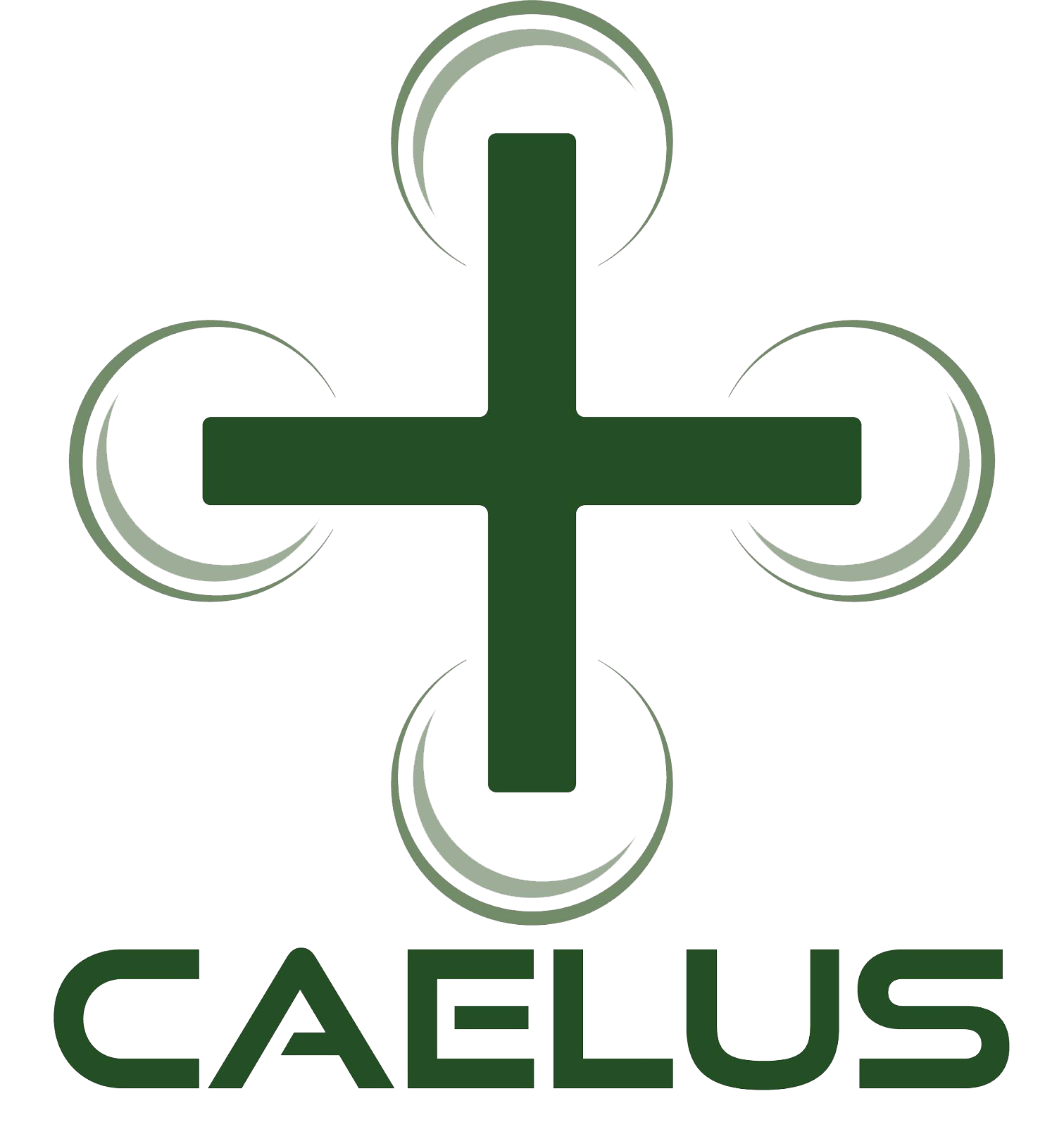The CAELUS (Care & Equity – Healthcare Logistics UAS Scotland) project