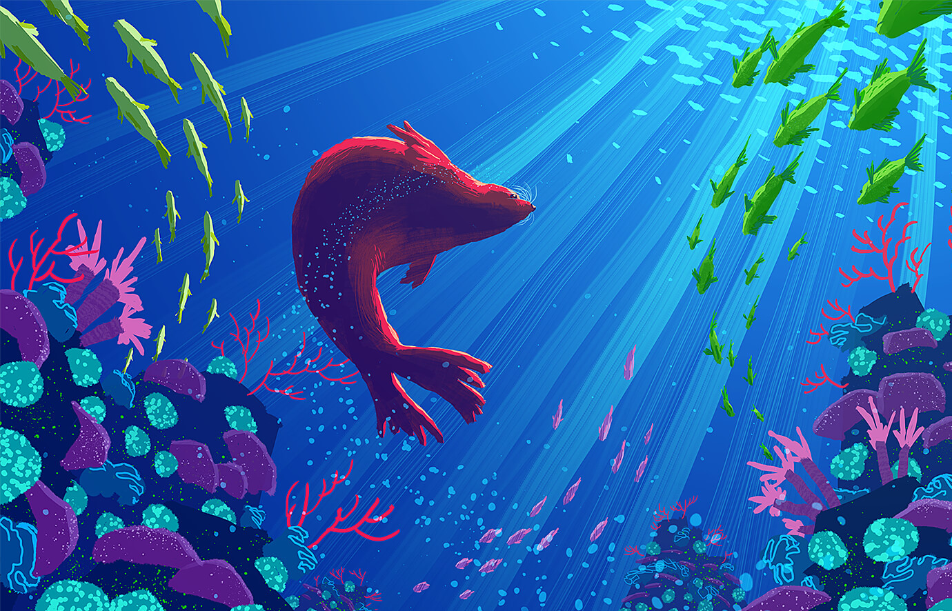 Series of colorful animal animations for Nat Geo Wild