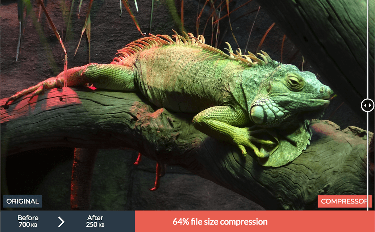 compressing images image