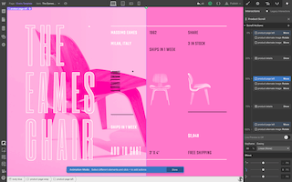 E-commerce Websites