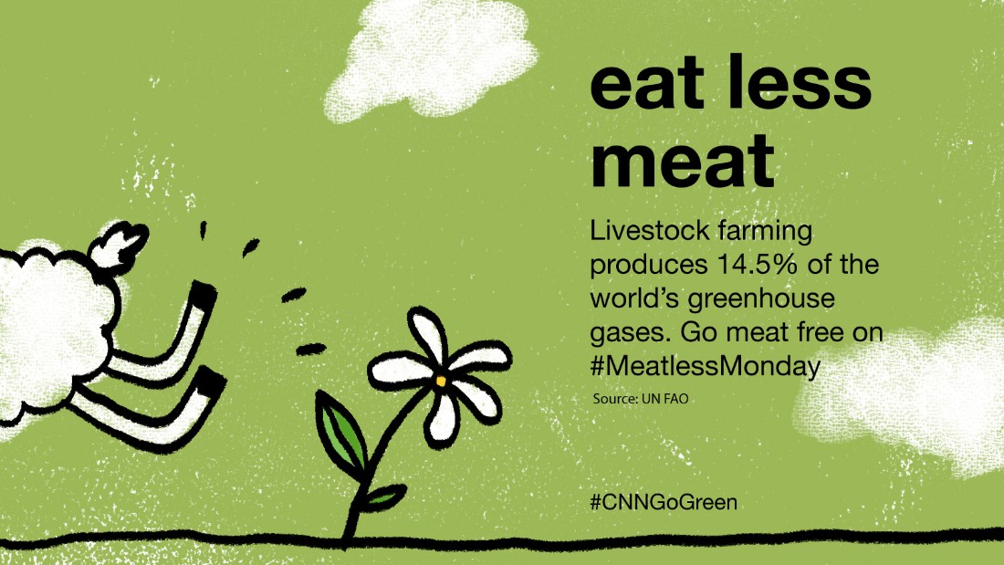 Cartoon style illustration of flower and sheep running away with caption: eat less meat