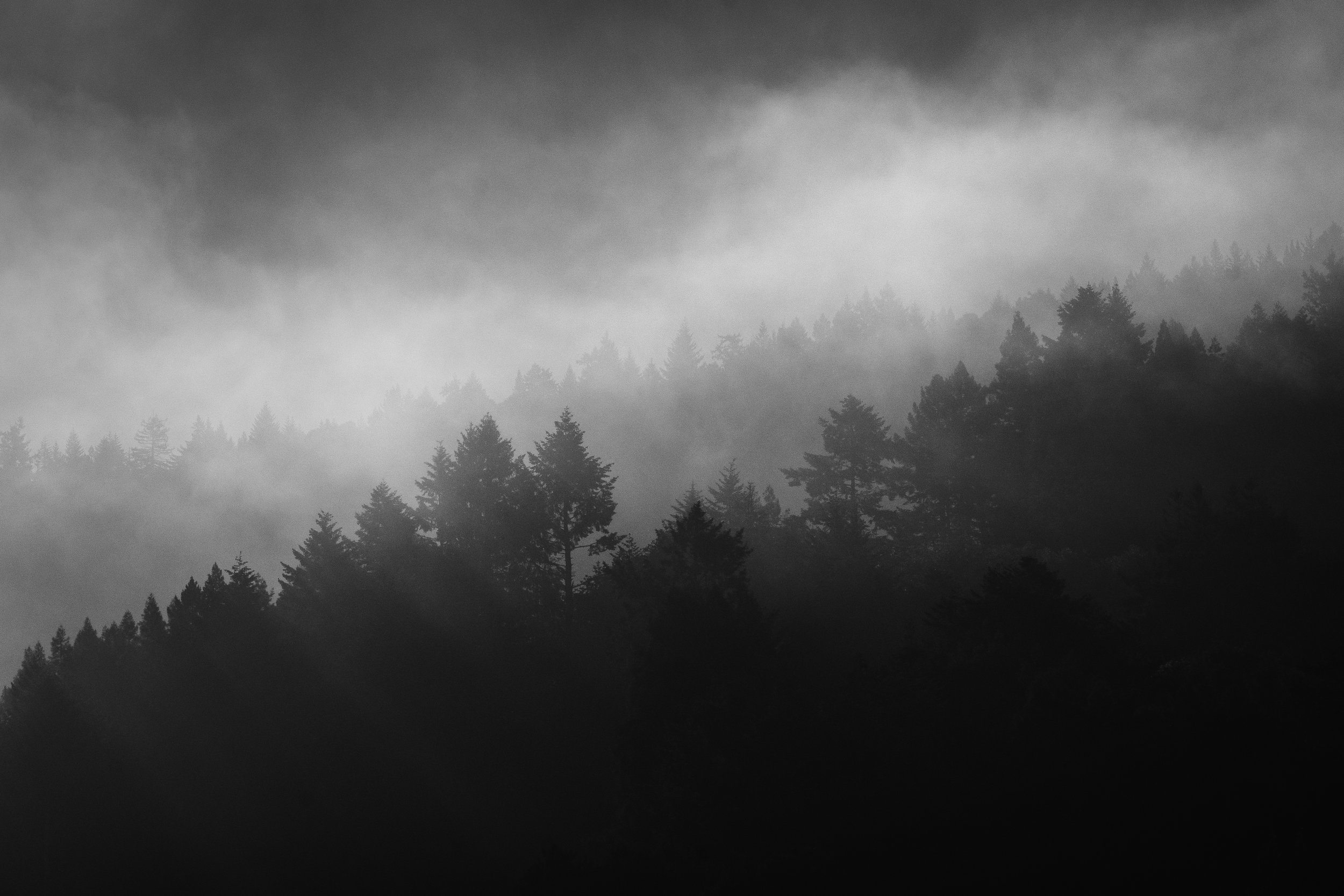 DSCF1310.jpg