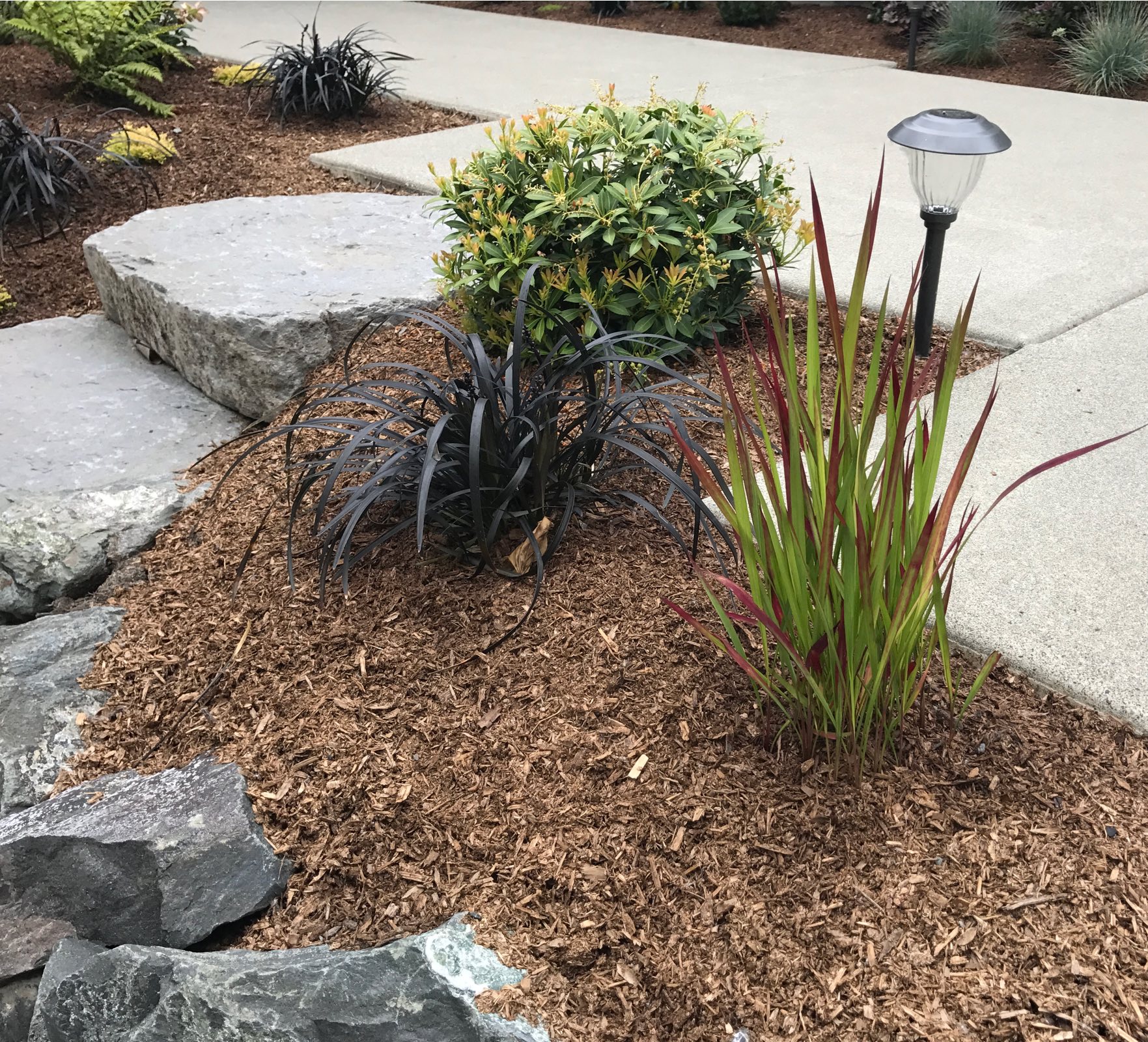 Lake Sammamish Remodel