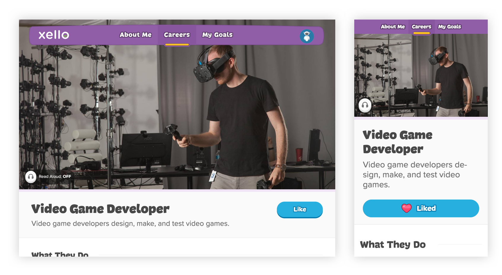 Final screenshots of Video Game Developer profile