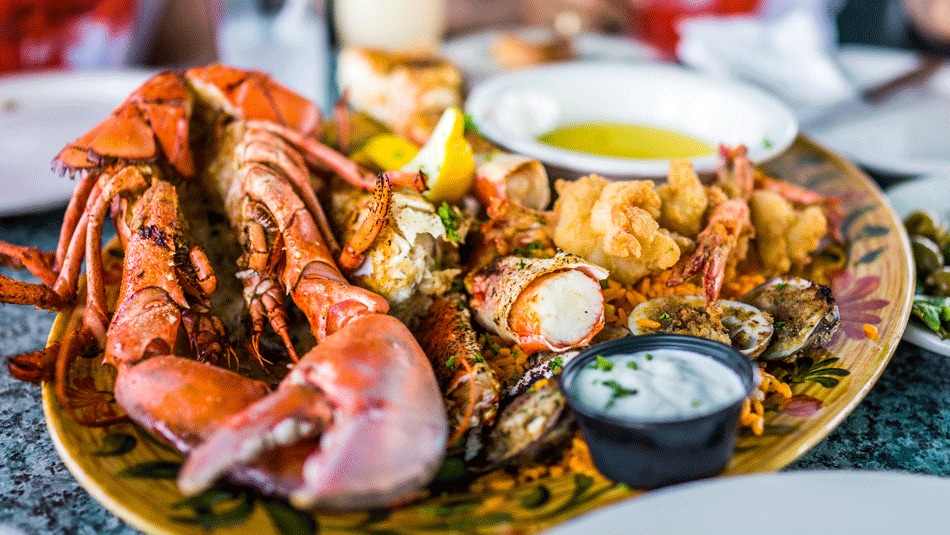 Enjoy a Taste From the Sea With the Top 7 Best Seafood Restaurants in