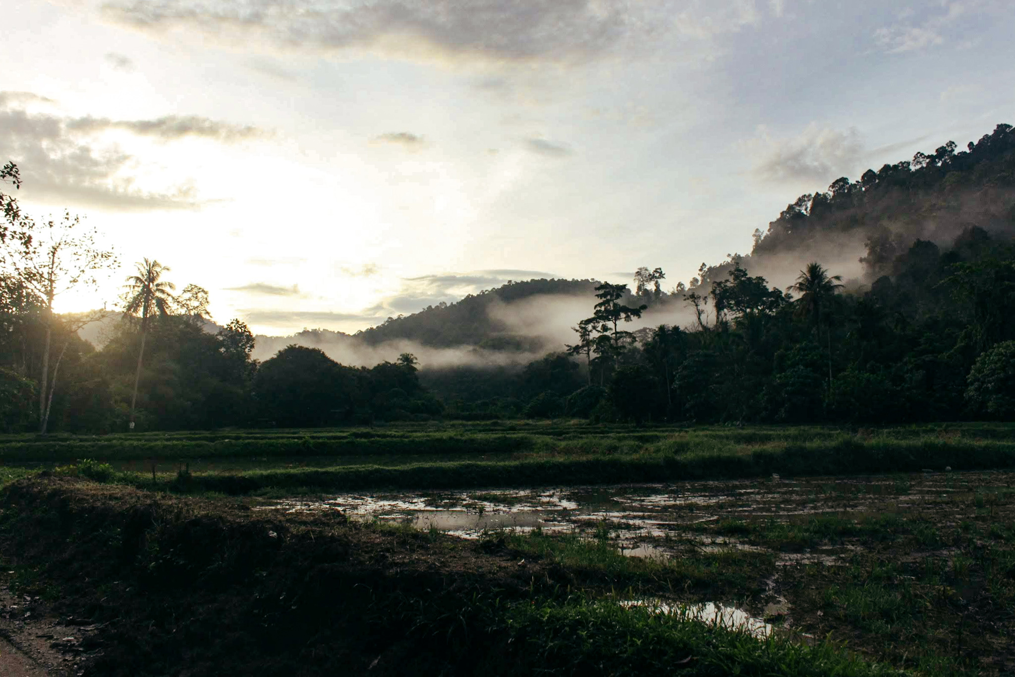 Volunteer around the world with Workaway