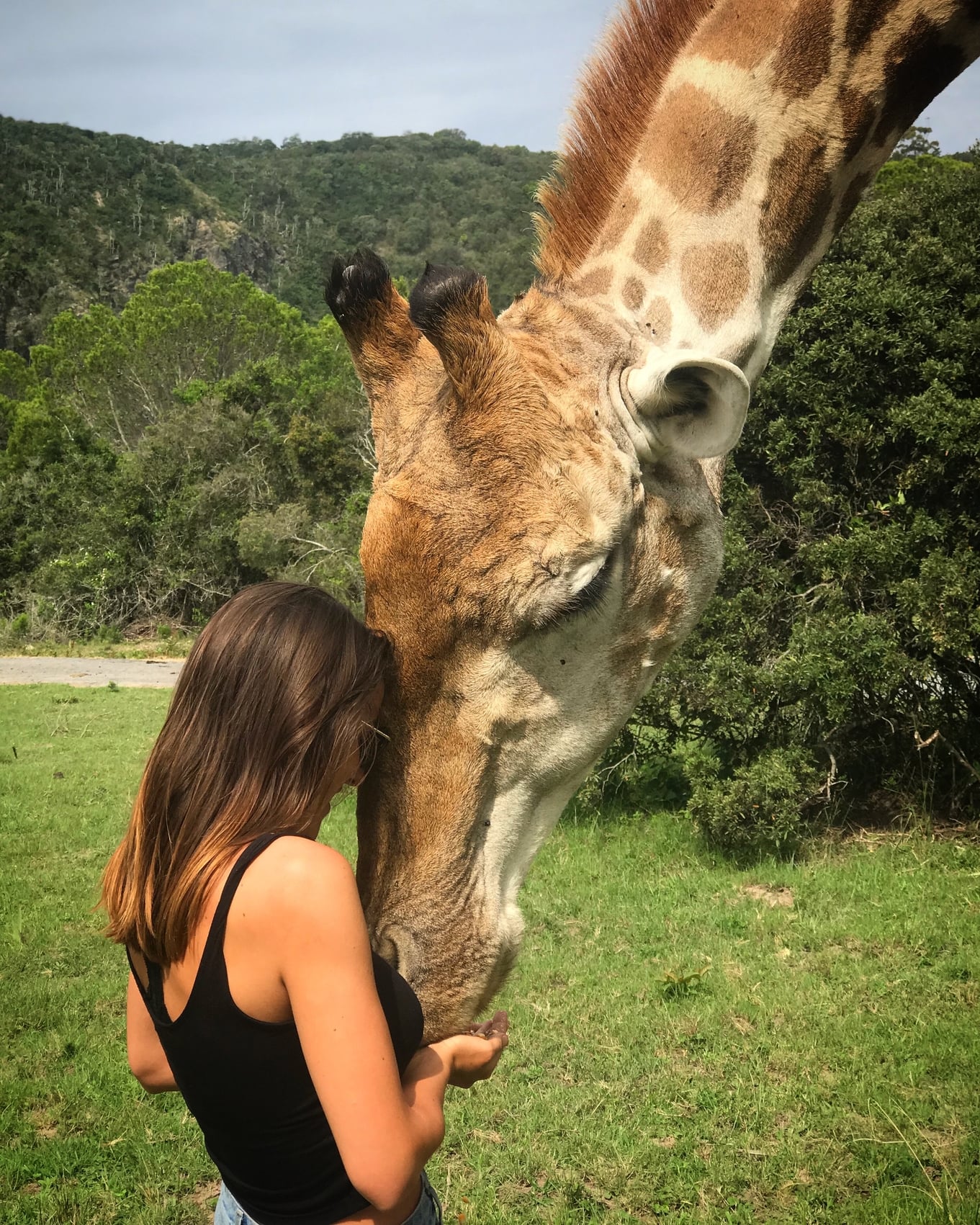 Travel the world as a veterinary nurse