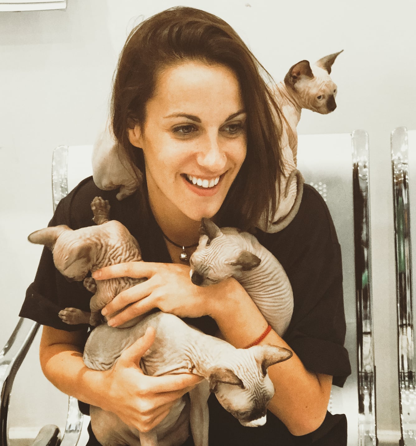 Travel the world as a veterinary nurse