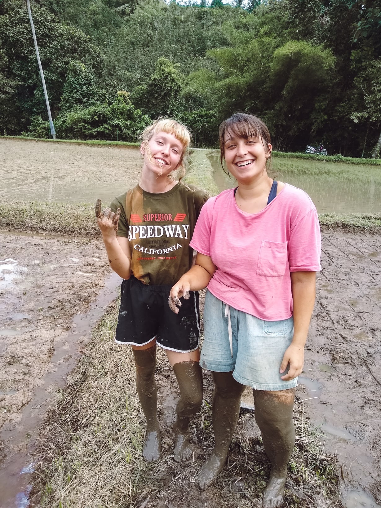 Volunteer around the world with Workaway