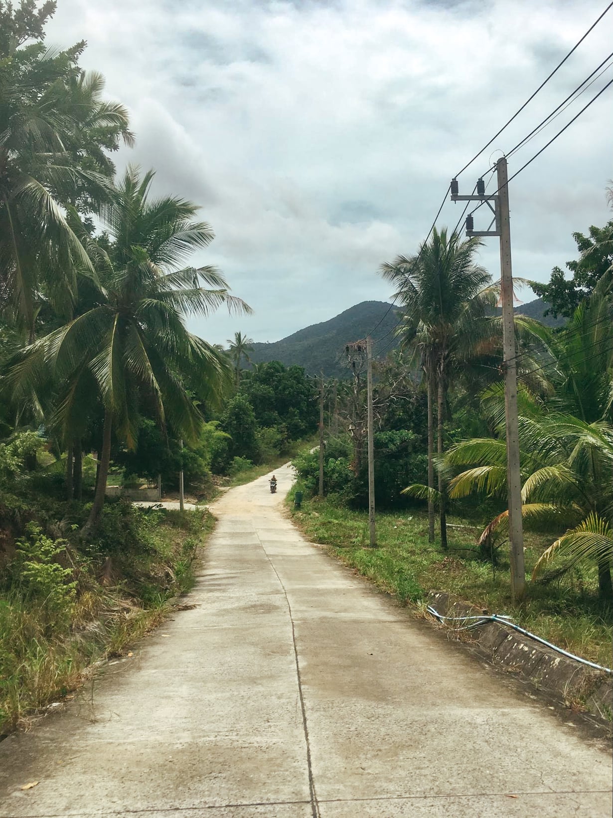 motorbike driving in on koh phangan, thailand