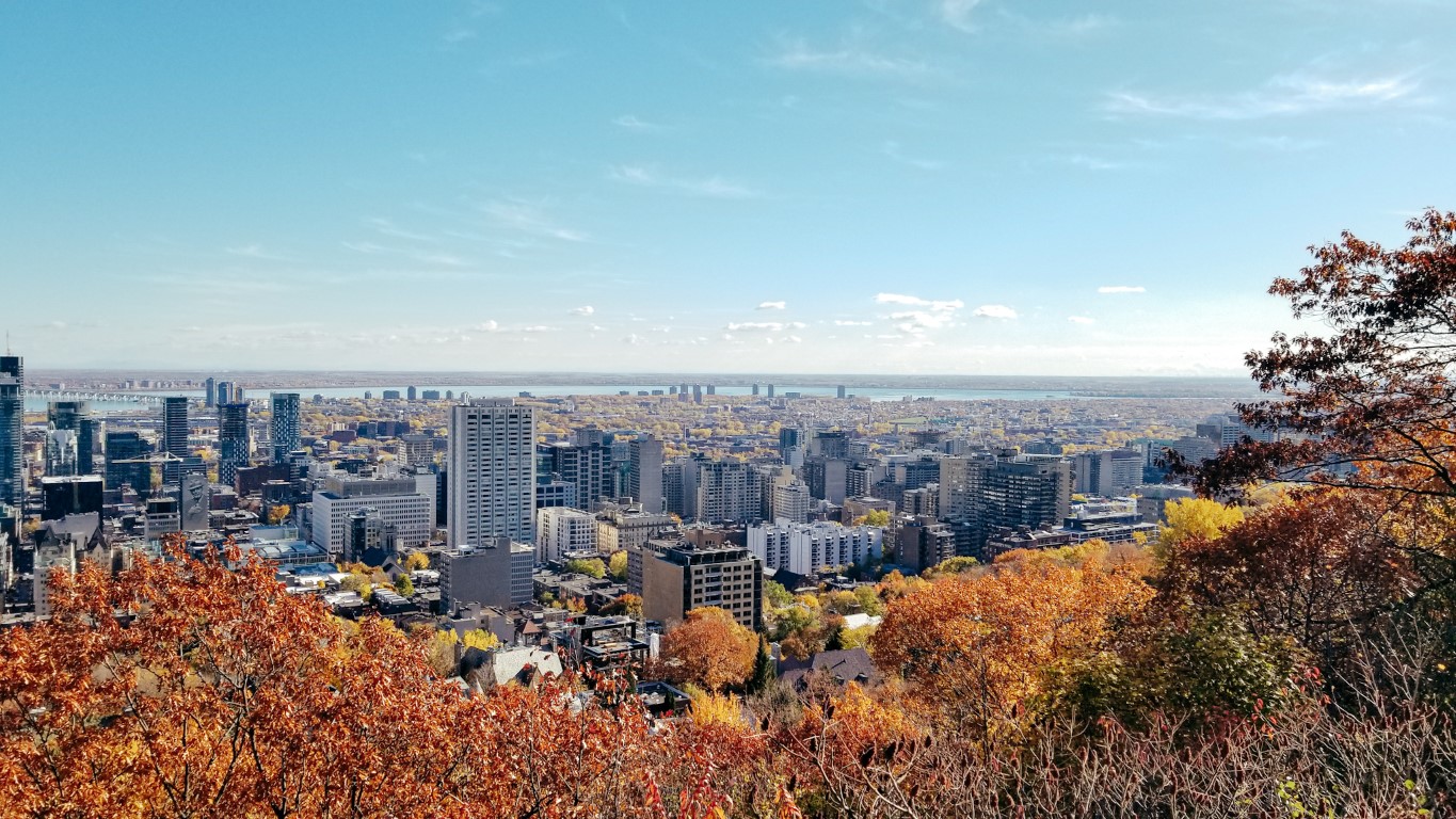 Montreal skyline with yellow and orange autumn leaves