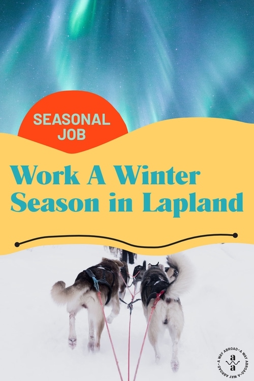 How to Get a Winter Seasonal Job in Lapland