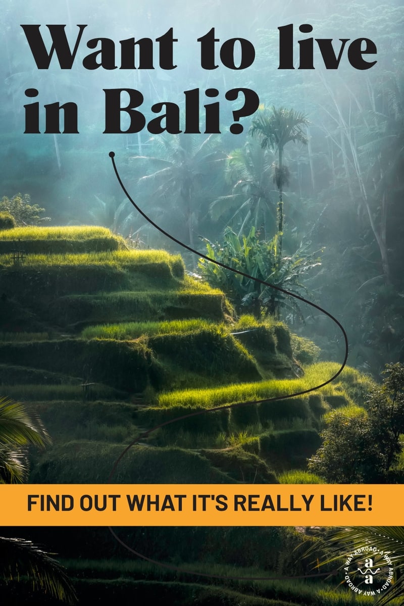 A Beginner's Guide to Living in Bali, Indonesia