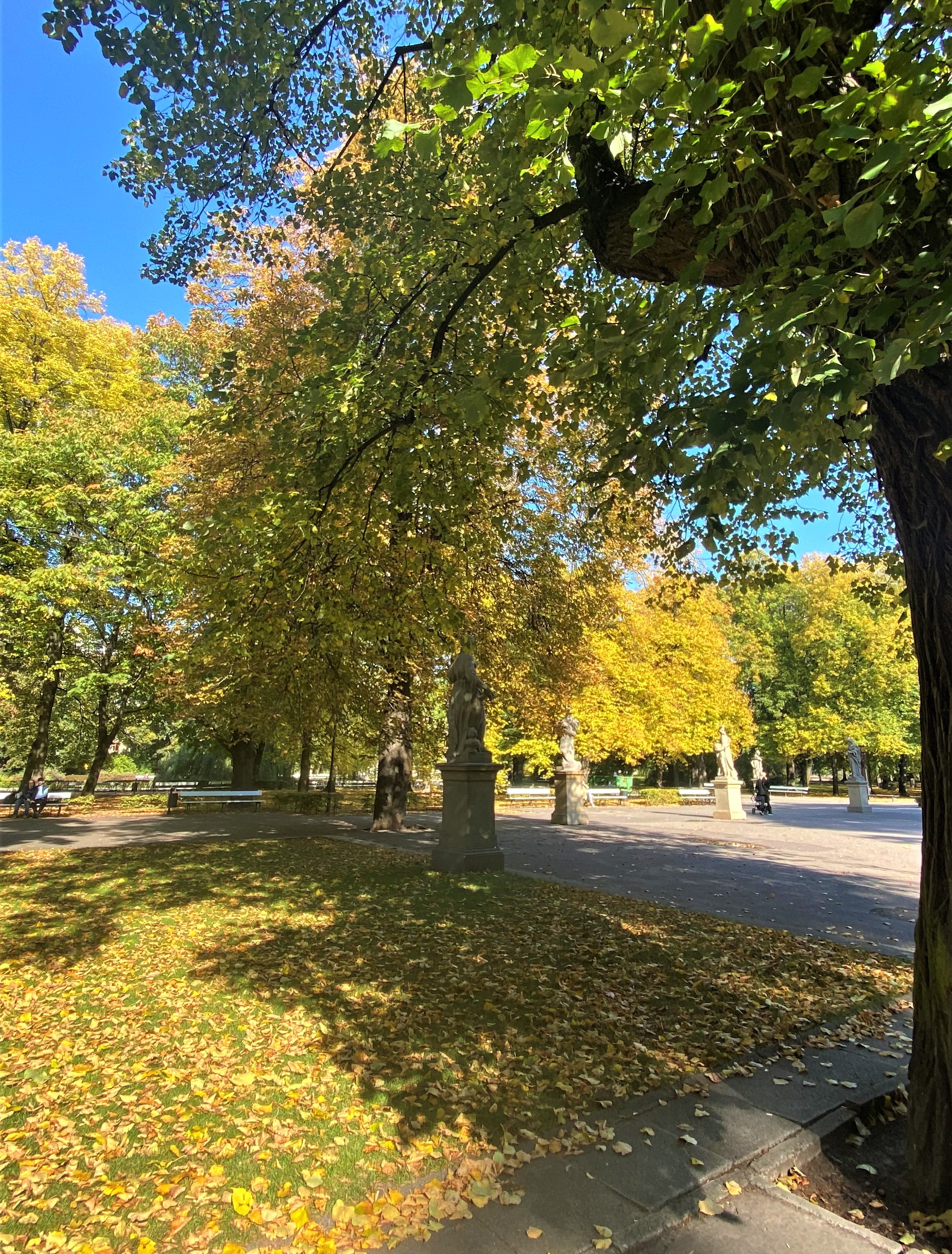 A view of the streets at the start of fall in Poland